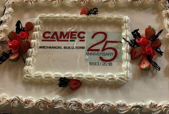 CAMEC: 25 ANNI E POI....