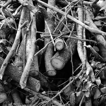 Branch and pruning recycling