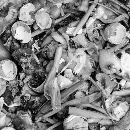 Food waste recycling
